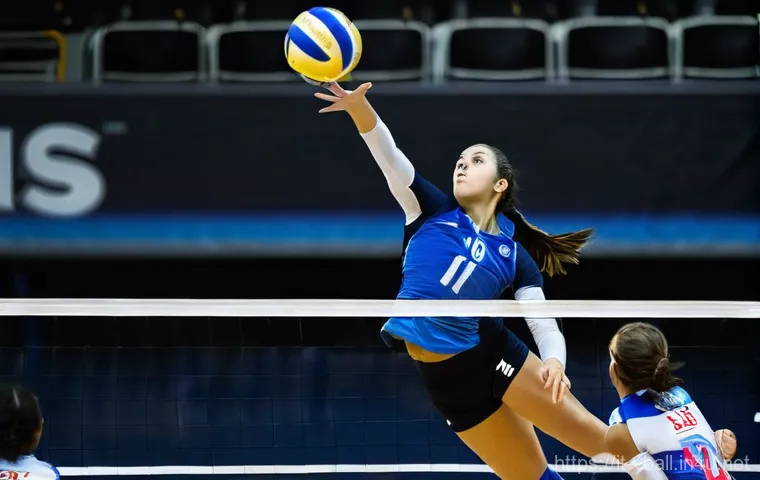 배구 경기에서의 포지션 전환 - **Prompt 1: The Versatile Setter's Strategic Play**
    "A dynamic, medium shot of a male volleyball...
