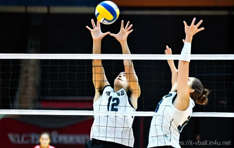 배구 용어 사전 - **"An exhilarating moment in an indoor volleyball match. A female libero, mid-air in a full-extensio...