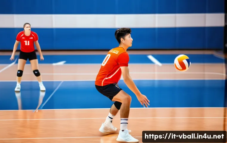 배구 경기 중 흔한 반칙 관련 이미지 1