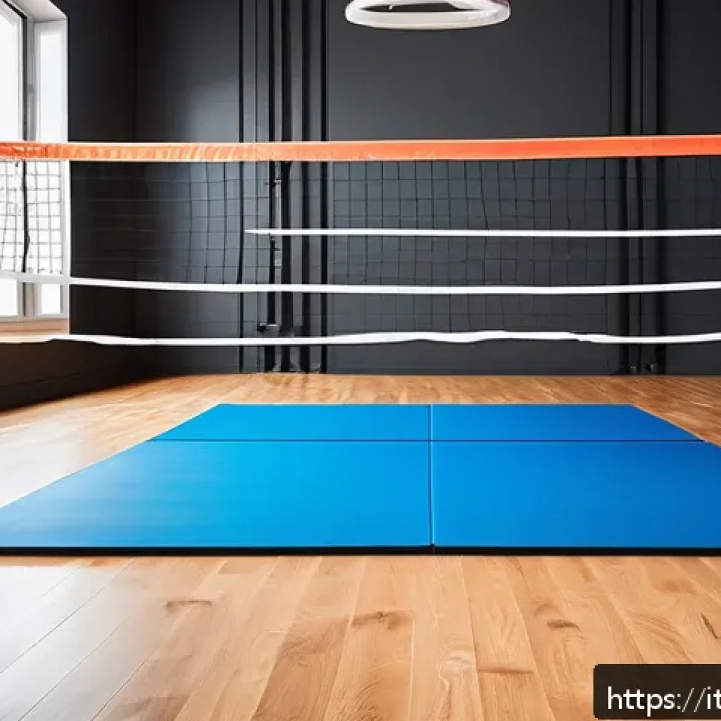 배구 트레이닝을 위한 홈 장비 - A modern home volleyball training setup featuring a lightweight training volleyball and a standard v...