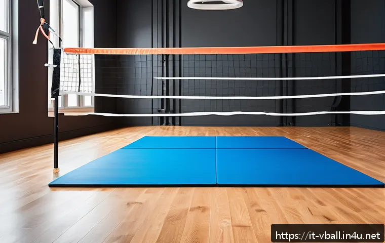 배구 트레이닝을 위한 홈 장비 - A modern home volleyball training setup featuring a lightweight training volleyball and a standard v...