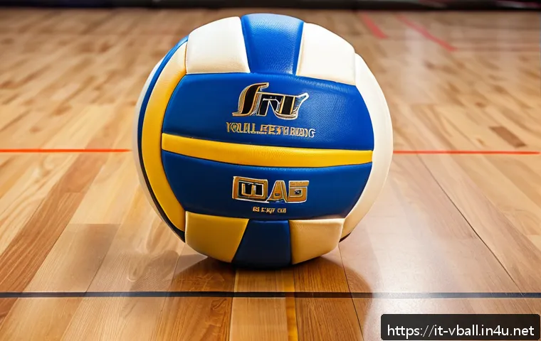 배구 용품 세일 정보 - A high-quality volleyball made of synthetic leather and premium PVC, featuring a smooth yet anti-sli...