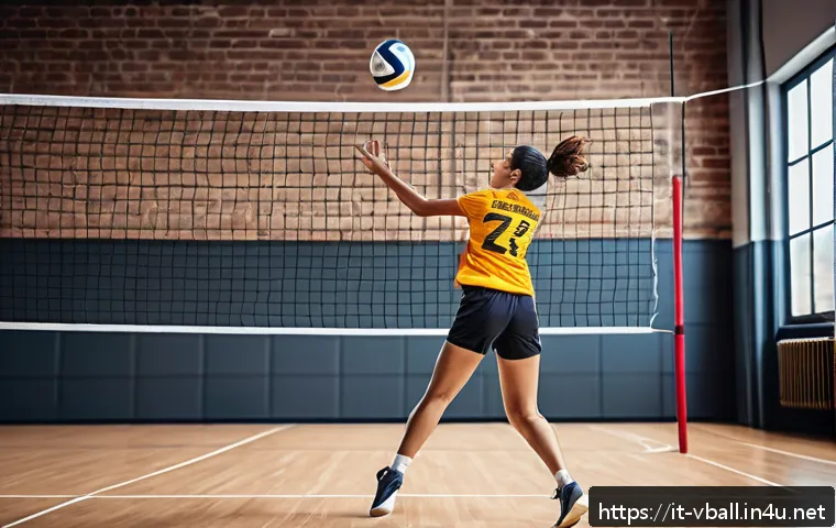배구 초보 훈련 계획 - A dynamic volleyball training scene in a bright indoor gym with natural light streaming through larg...